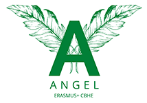 ANGEL Home Page